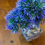 Estudio Lila Διαμέρισμα