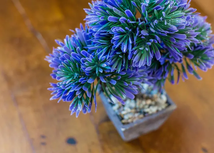 Estudio Lila Апартаменти